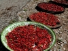 chilli.jpg